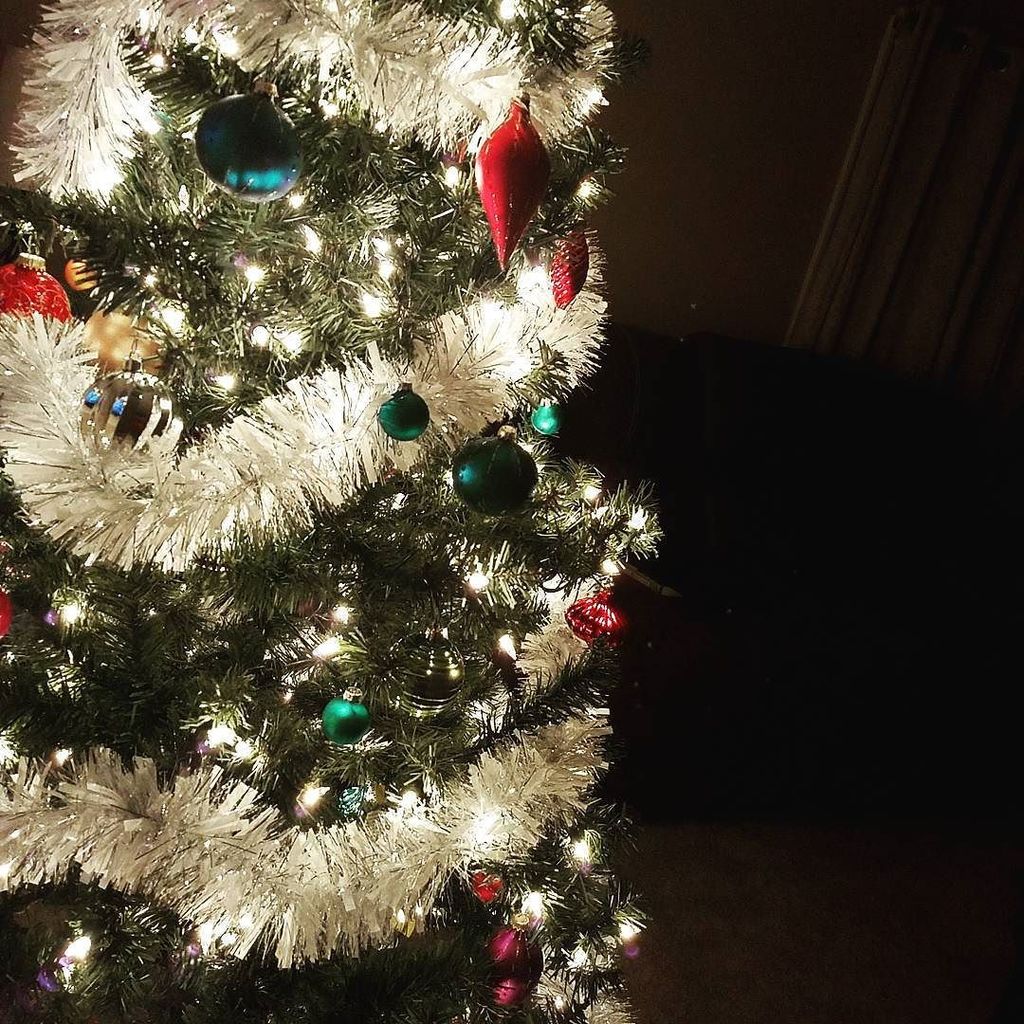 Michael_Keller3's tweet photo. First Christmas tree in my new house! 🎄☃🎄☃🎄#christmas #winter #ornaments #garland https://t.co/UmLPPg8gJt