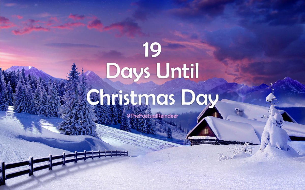 ChristmasFactsC's tweet photo. 19 days until #Christmas 

#christmascountdown https://t.co/wgaE48yZSB
