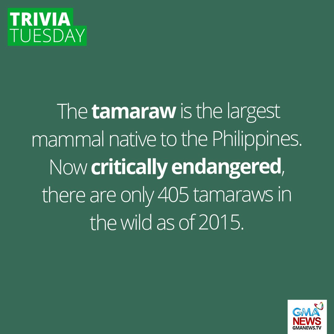 Pinoy Trivia Did You Know 30 Fun Facts About The Philippines | Global