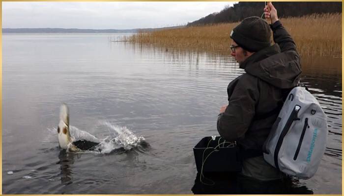 thefishinglife's tweet image. #pikeonfly