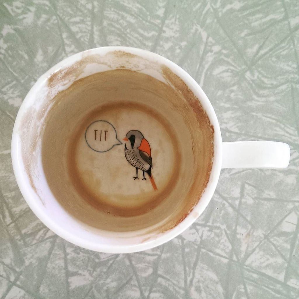 glenjplayer's tweet photo. What's in the bottom of your cup? #divination #coffeetime #birthdaybirdwatching https://t.co/ashMXaa7Zd