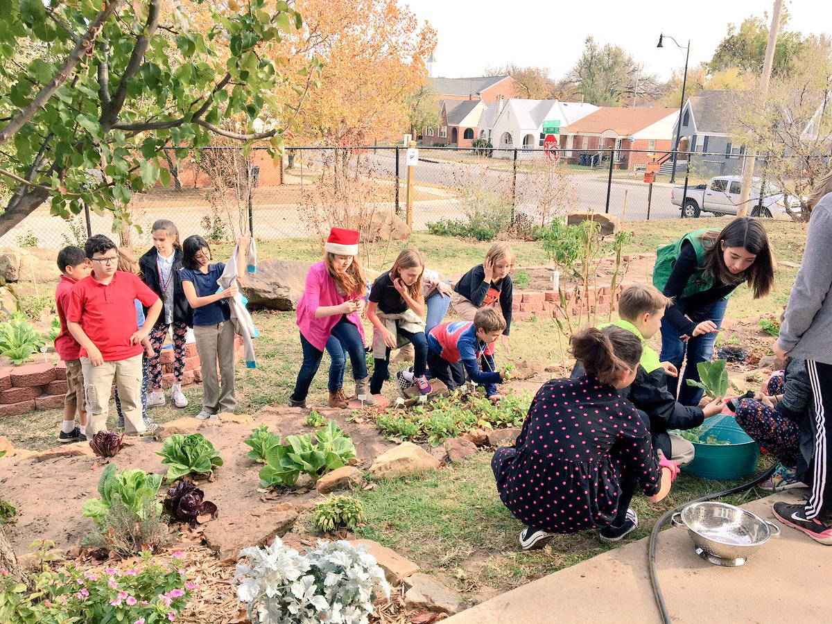 bulldoggarden's tweet photo. 5th grade enjoys harvesting and washing their vegetables. Ready to make some salads. #schoolgarden #clevelandelementary @OKCHarvest https://t.co/JQSRCS9tpR