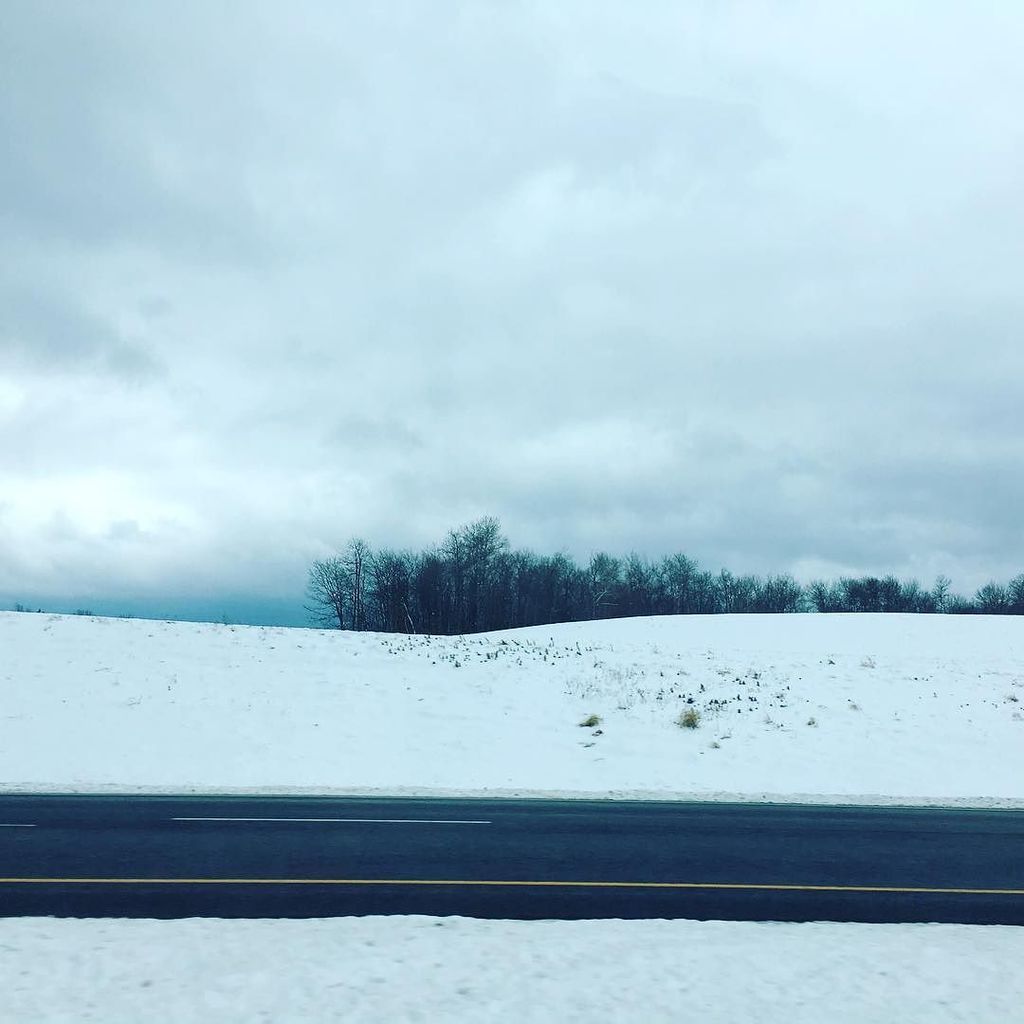LittleSages's tweet photo. What excites me. #winterscape #bibliopilgrimage #roadtrip #bookstores #findingbooks #rarebooks #littlesagesbooks https://t.co/0C1vYhRyNu
