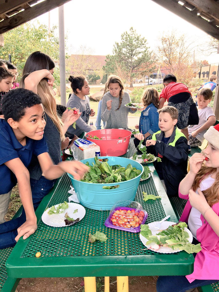 bulldoggarden's tweet photo. 5th grade loved the salads! Eaten with enthusiasm. If they grow it they will eat it. #healthyschool #KidsDoLoveVeggies @OKCHarvest https://t.co/s63XgNqH0q