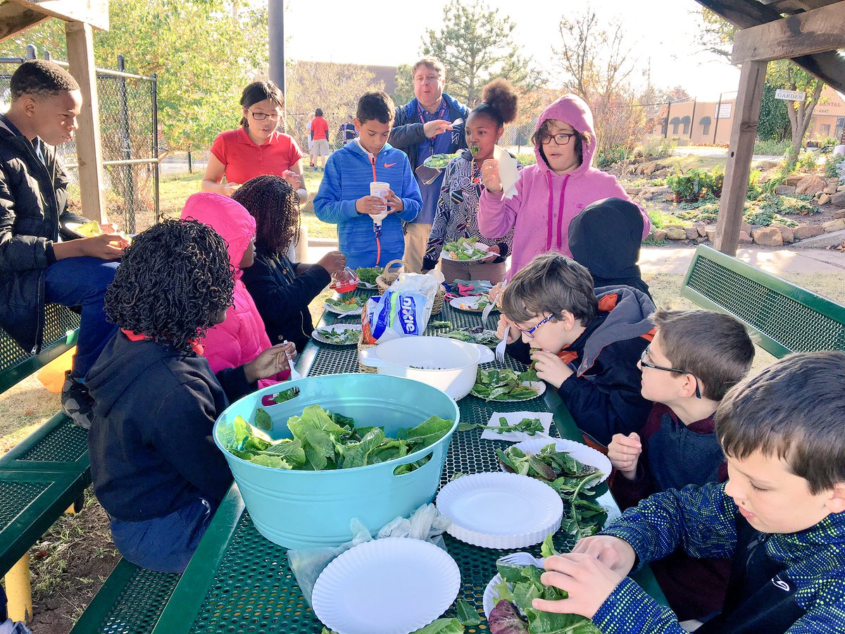 bulldoggarden's tweet photo. 6th grade harvests and enjoys trying several lettuces, radishes, and peppers. #schoolgarden #KidsDoLoveVeggies @OKCHarvest https://t.co/UhdeM00dfm