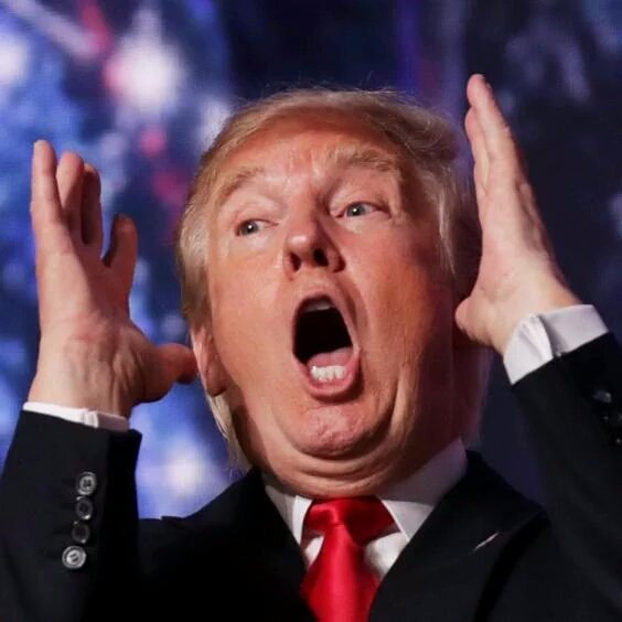 TrumpIntel's tweet photo. @CindyRo21787083 Trump Betrayed me! I voted for him. Now No Wall! Vicious Rivers instead! Swimorama! https://t.co/mwzudHO6ZB