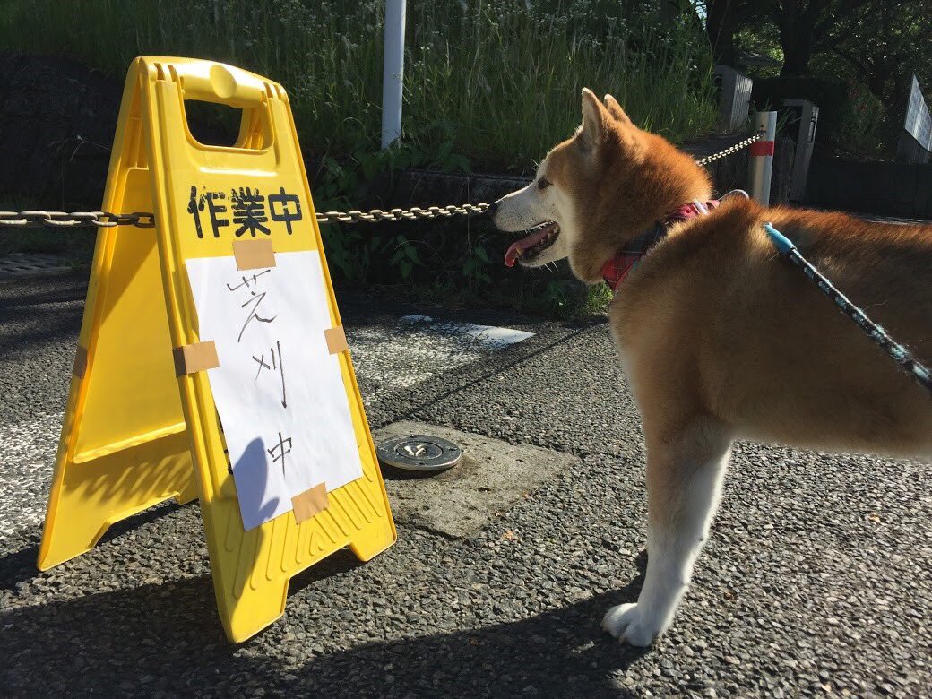 mico@4/4クマモトB9 tweet media