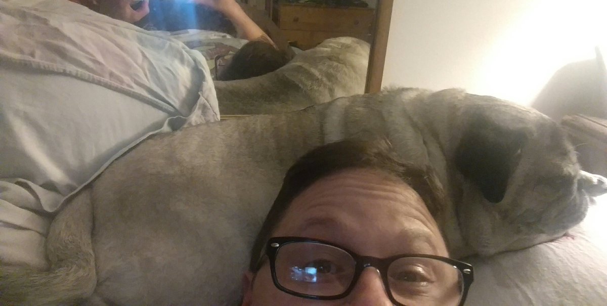 thisandthatnj's tweet image. Nothing like a dog to keep you warm at night #puglife #snoringproblem