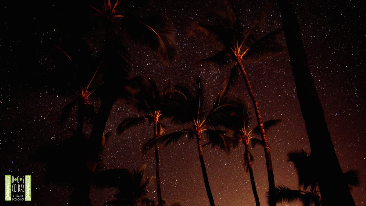 dosceibas's tweet photo. Así de linda puede ser la vista de tu habitación por la noche.
Te invitamos a vivir una experiencia inolvidable en uno de los lugares https://t.co/x1qlryppIP