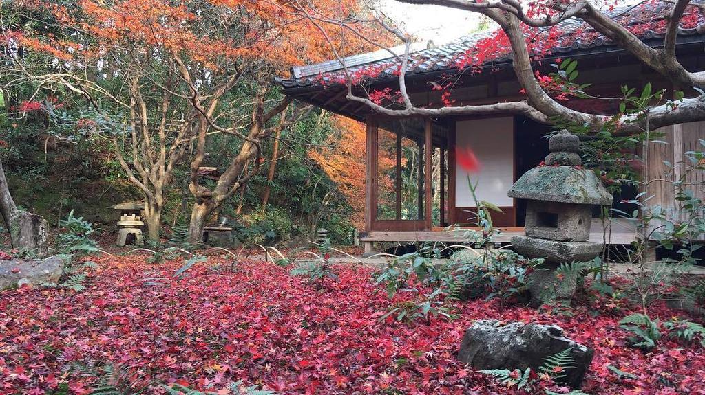 jp_manual's tweet photo. 厭離庵、落ち紅葉が最高に綺麗。
Enrian Temple(Arashiyama, Kyoto)
#京都 #嵐山 #厭離庵 #enrian #紅葉 https://t.co/H84plDh3Qr https://t.co/rG06swMgg7