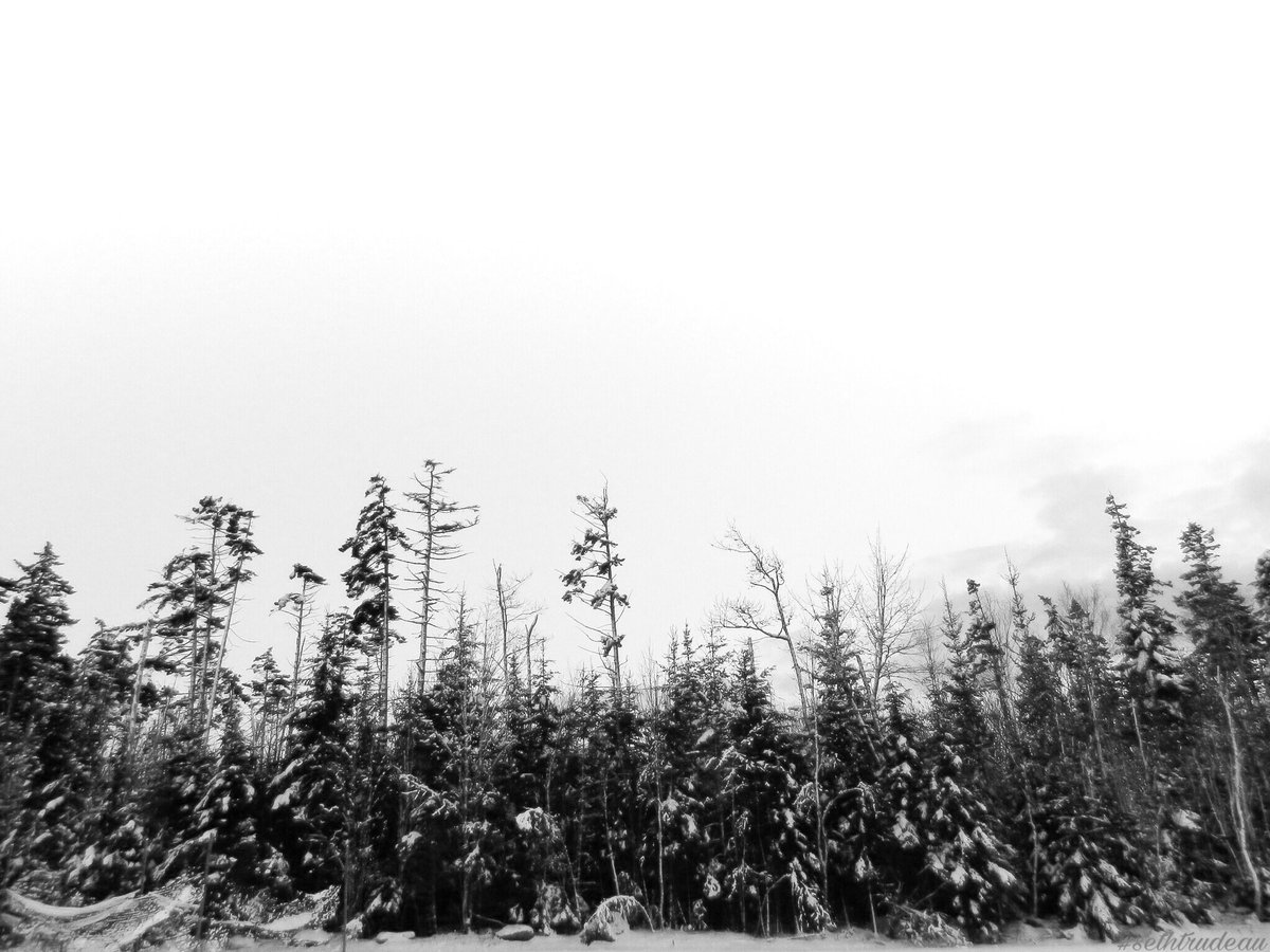 #sethtrudeau #photography #Photooftheday #sonyalpha #blackandwhite #blackandwhitephotography #winter #outside #naturephotography #winter #us