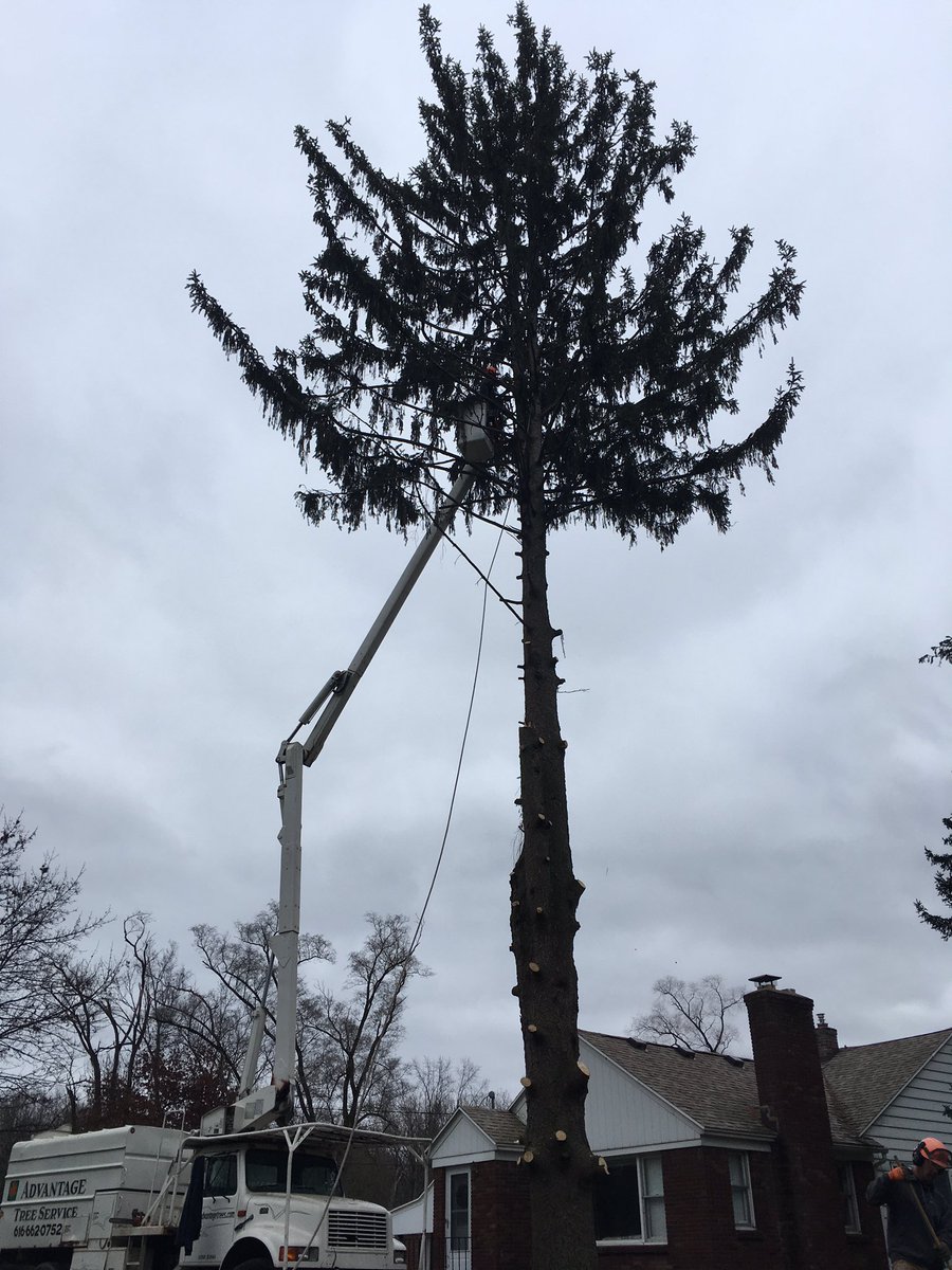 Advantage_TreeS's tweet image. Dooooon&apos;t worry... we&apos;re still here. #arboristlife #60+
