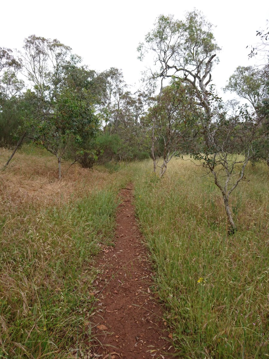 UTLAU's tweet image. Don't have a clue what is up ahead, but going where the path takes me... 
#Geocaching  
(and life in general, for that matter. .)