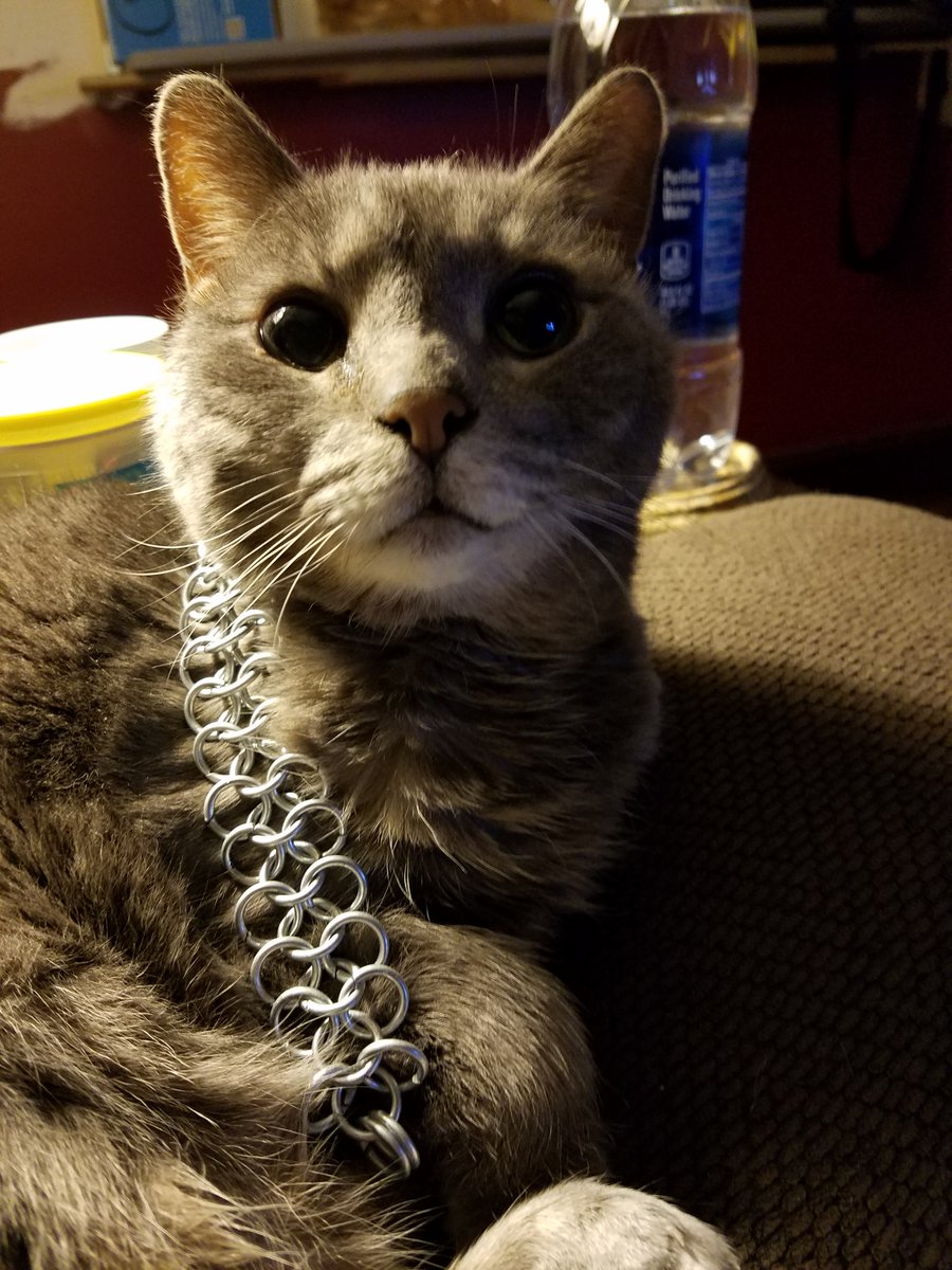Nice_Bitches's tweet photo. Now with more battle cat https://t.co/PRuT7l7ej2