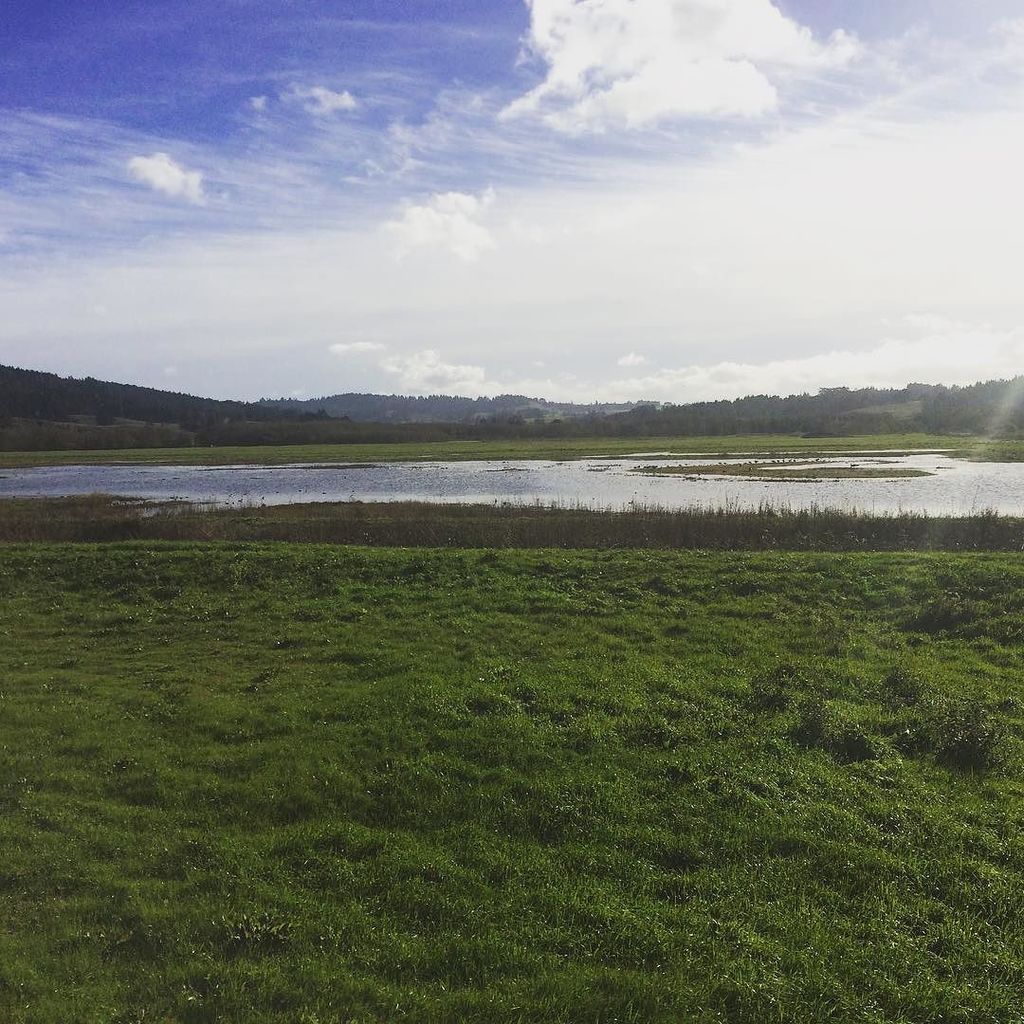 theealchemist's tweet photo. Job site view. Givin' the Gov't some heat! Then off to another heating fix..... #lifeofatech #alchemyconstruction … https://t.co/ePmXrzIzxp