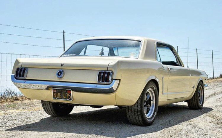 TheMuscleCar's tweet photo. 1965 https://t.co/KYTzWOJr4F