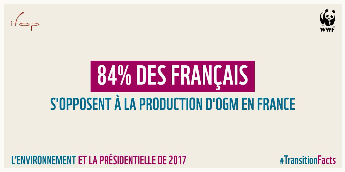 WWFFrance's tweet photo. Sondage @IfopOpinion / #WWF 84% des Français sont opposés à la production d'#OGM en France #TransitionFacts https://t.co/TvbwahL7gl