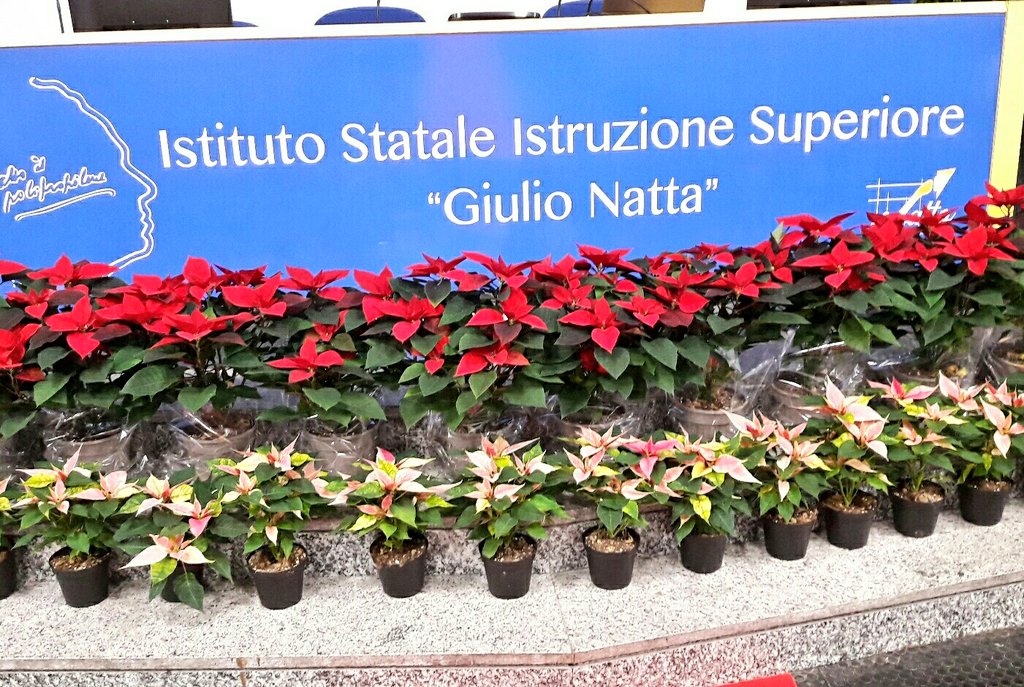 RadiciGroup's tweet image. Today Istituto Natta is hosting an educational day on #LIFE_Programme and #InnoProWire project with @MaccaferriWorld @RadiciGroup @SAMPspa