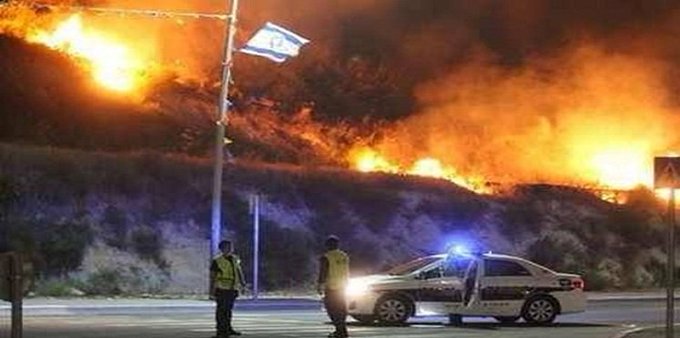 عرض الصورة على تويتر