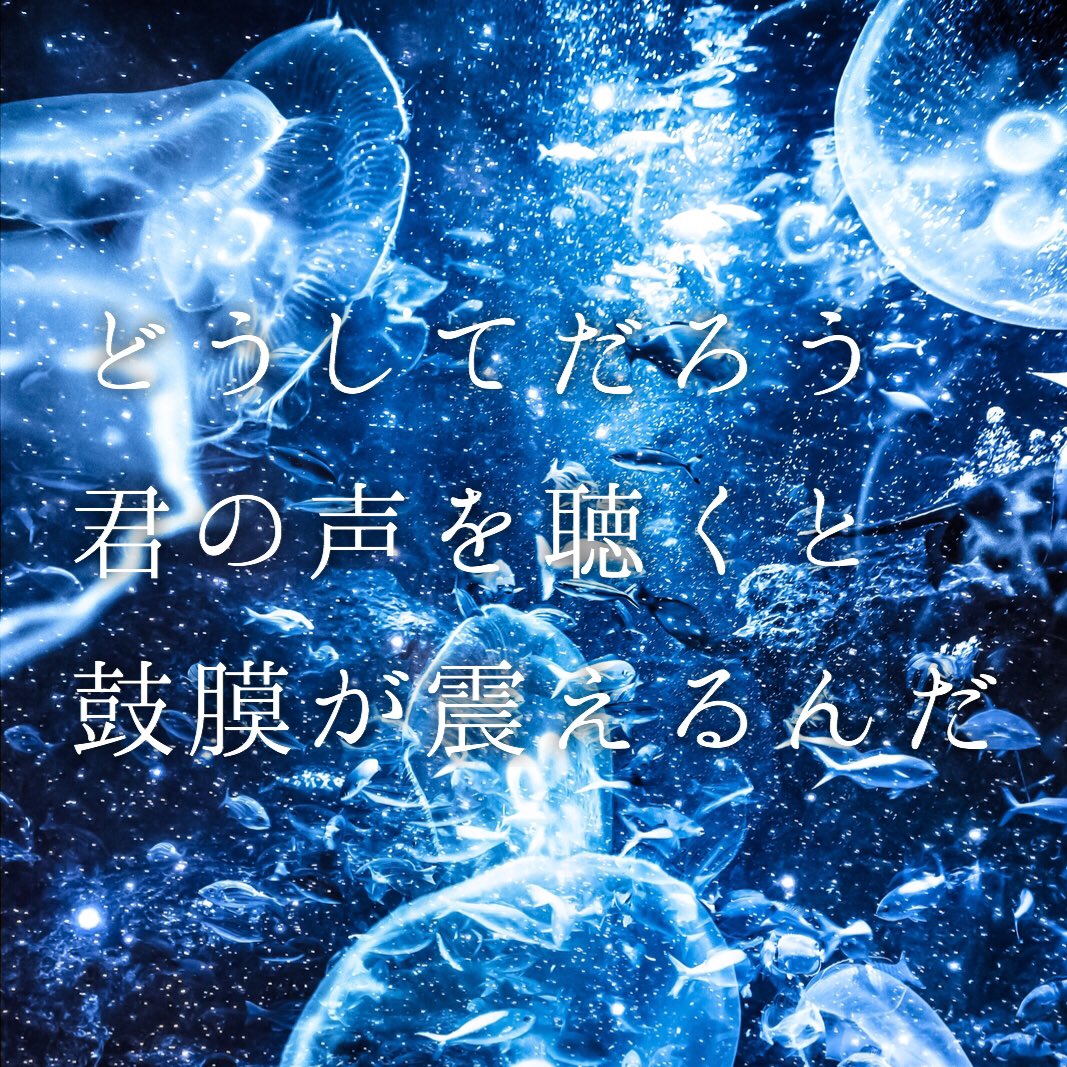 深いようで深くない あたりまえポエム ランキング えれふぁんブログ