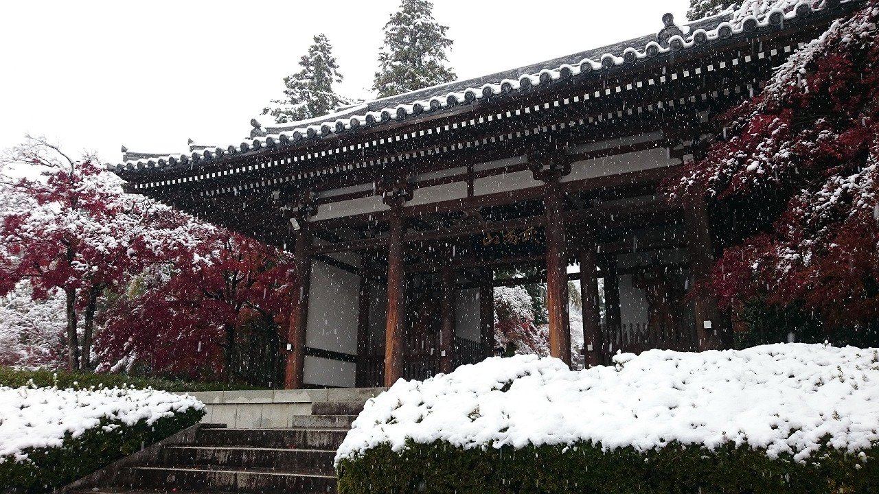 飯能市 観光 天覧山のふもとにある能仁寺では 紅葉と雪が一緒に見れるま 真っ赤なモミジの上に真っ白な雪が積もっている珍し い光景だま T Co Snsmfi8dh5 Twitter