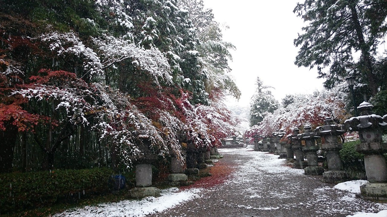 飯能市 観光 天覧山のふもとにある能仁寺では 紅葉と雪が一緒に見れるま 真っ赤なモミジの上に真っ白な雪が積もっている珍し い光景だま T Co Snsmfi8dh5 Twitter
