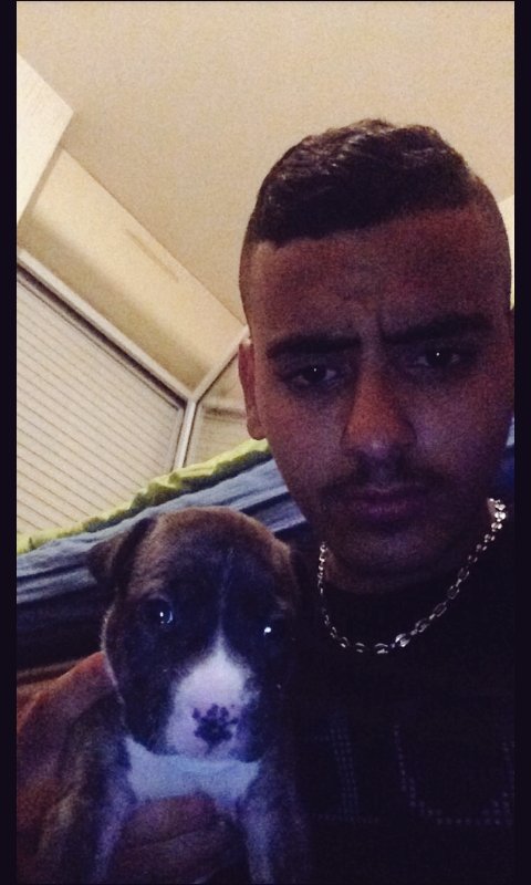 You_Zeezer's tweet image. Futur shakal lol