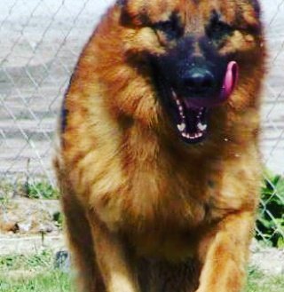 Mertcan Super (@mertcan_super) on Twitter photo 