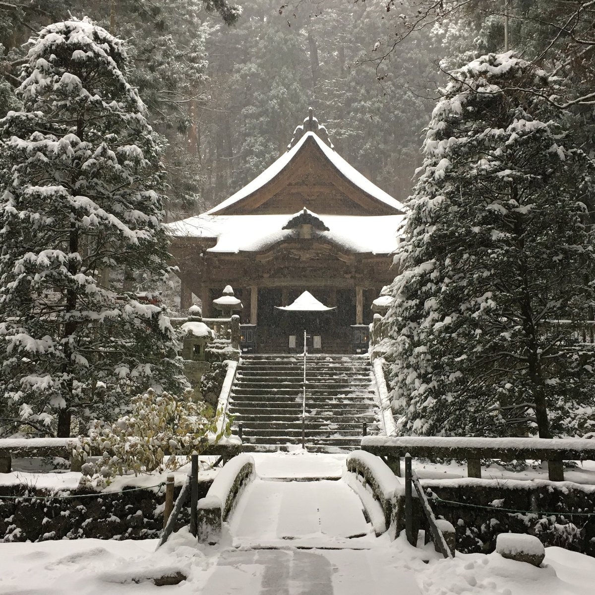 光前寺 در توییتر 初雪 本堂 三重塔 本坊庭園の様子 光前寺 雪 初雪 積雪 雪景色 雪化粧 雪国 駒ヶ根 駒ヶ根市 長野 長野県 信州 南信州
