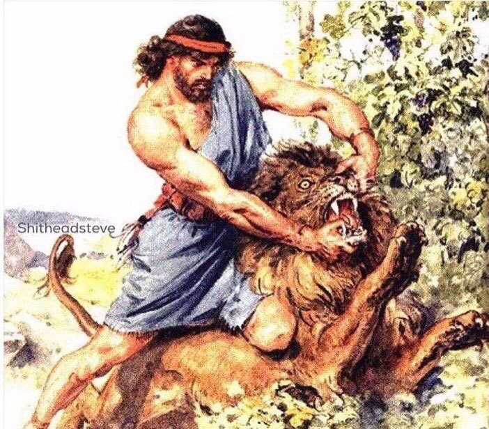 Lance210's tweet image. When you drop some chocolate and your dog tries to eat it