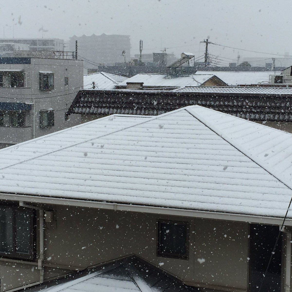 ringoameladybug's tweet photo. 朝起きてカーテン開けたら外が白かった⛄真冬並みの寒さに身体がびっくりしております😲 https://t.co/ZGYurSjT5L