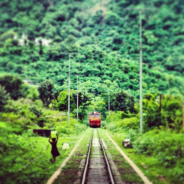 iamashishkumarr's tweet image. Wherever you go, go with all your #heart. 
#travel #travelling #India #Wanderlust #Himalaya #incredibleindia #photography #HimachalPradesh