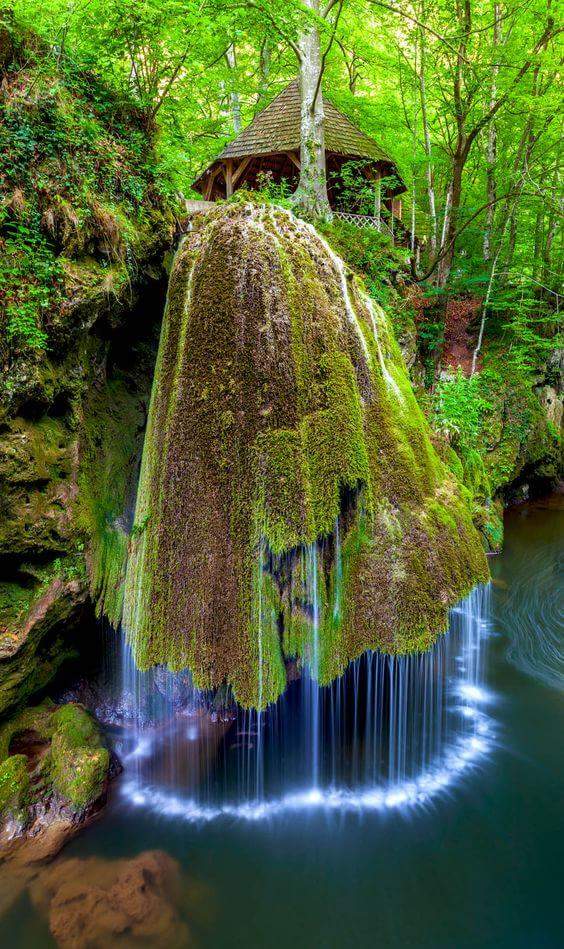 TheArieAir's tweet photo. @joeldesouza2626 @minecetin73 @alaura2015 @marethr63 @Anna_EFC @Arab_Arabism @Prince__Rocks @gs2hmmet https://t.co/SKsrIKKTvp