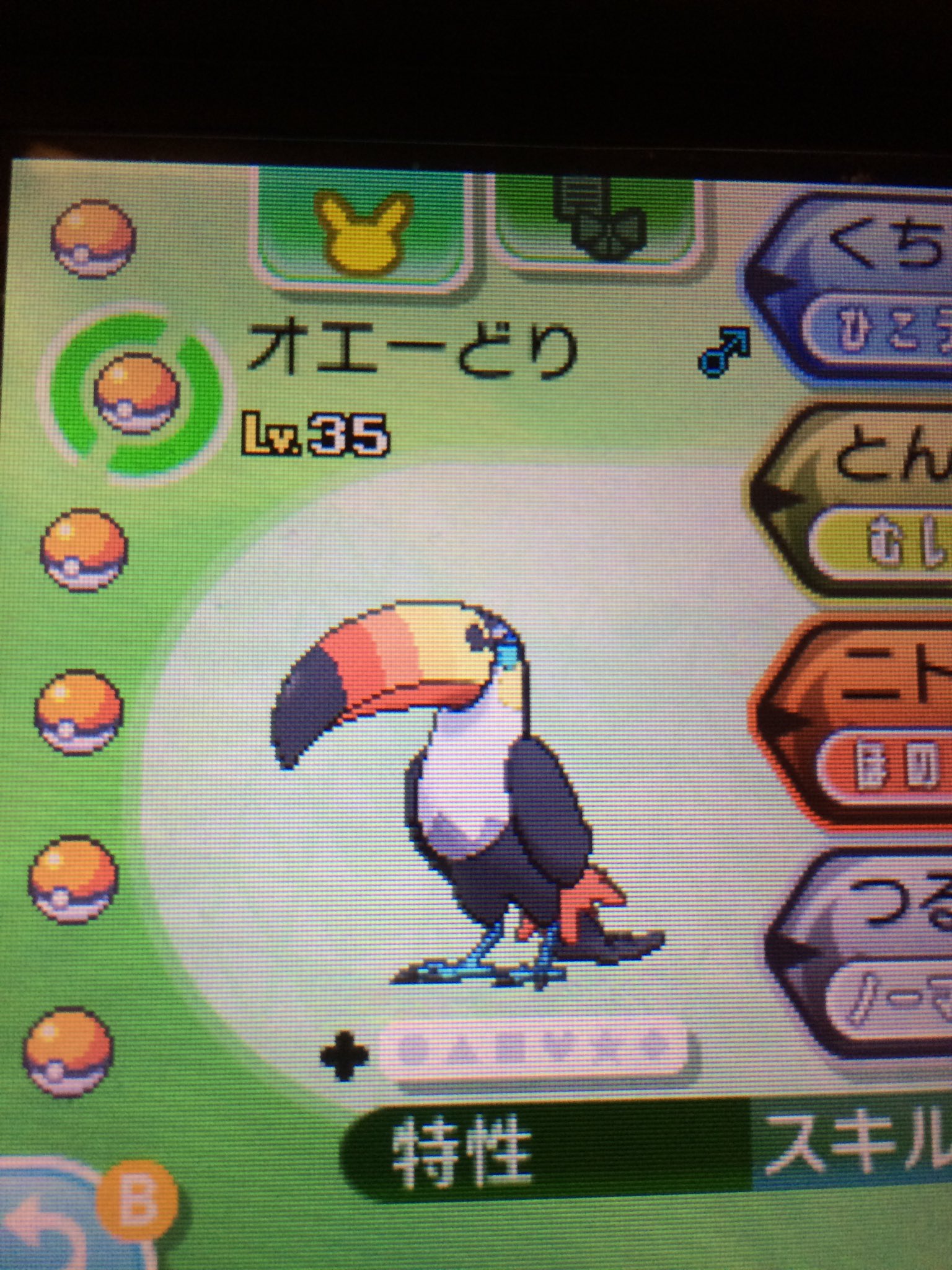 えいぷり ドデカバシのニックネーム やっぱ オエー鳥 になるよな ポケモンサンムーン ドデカバシ T Co 8nmusdqyrt Twitter
