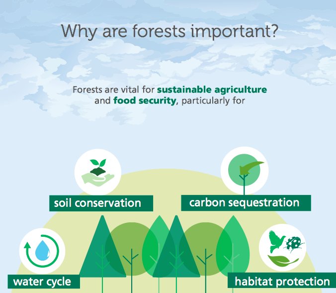 FAOKnowledge's tweet photo. Why are #forests important? Here's one reason. https://t.co/RjtGT4HaN1  #ForestsMatter via @FAOForestry  https://t.co/Hq0SdPUSrP
