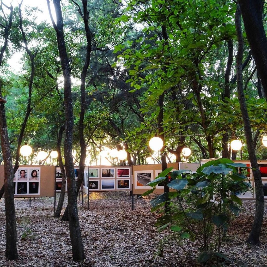 kaushal's tweet photo. only in #Goa... Open air photography exhibitions! ☺️
#Panjim #Panaji #TheOneFestGoa https://t.co/76tTdyL13S https://t.co/W45sNsp4ld