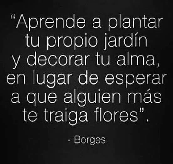 carlacerdaof's tweet photo. #fraseandoando descansen pipol con este bonito pensamiento me despido https://t.co/ScLHMTrr6T
