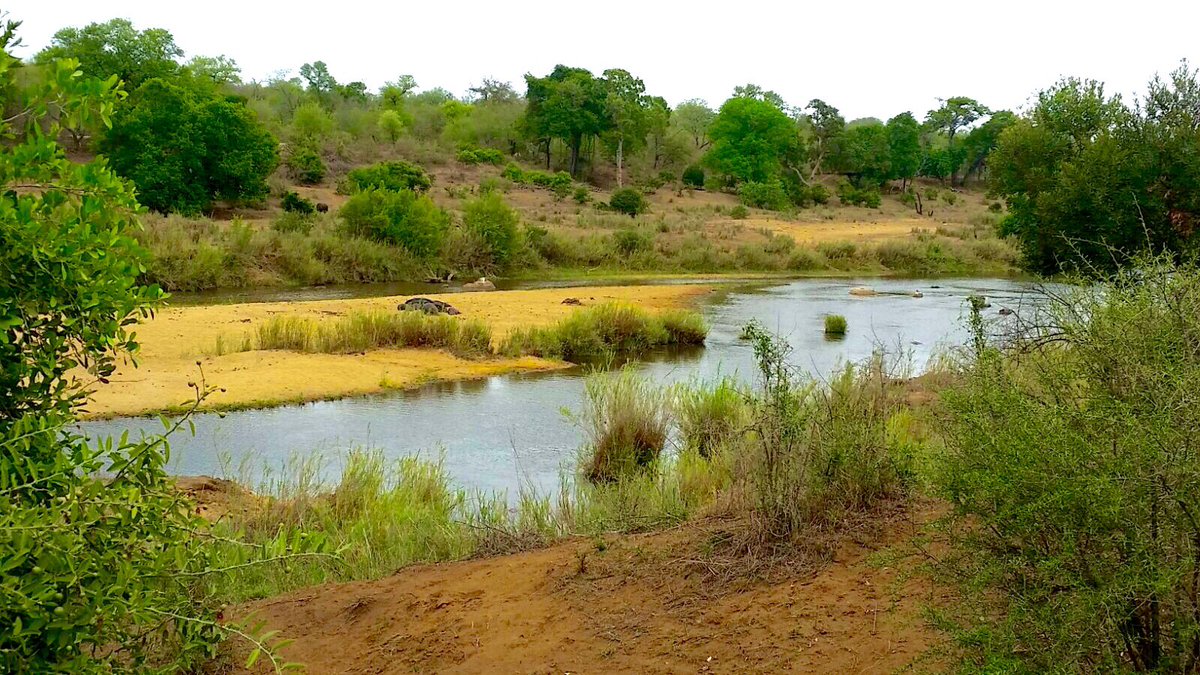 Elephant_Point tweet picture
