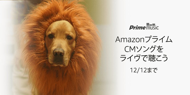 最高アマゾン プライム Cm 犬 かわいい犬の画像