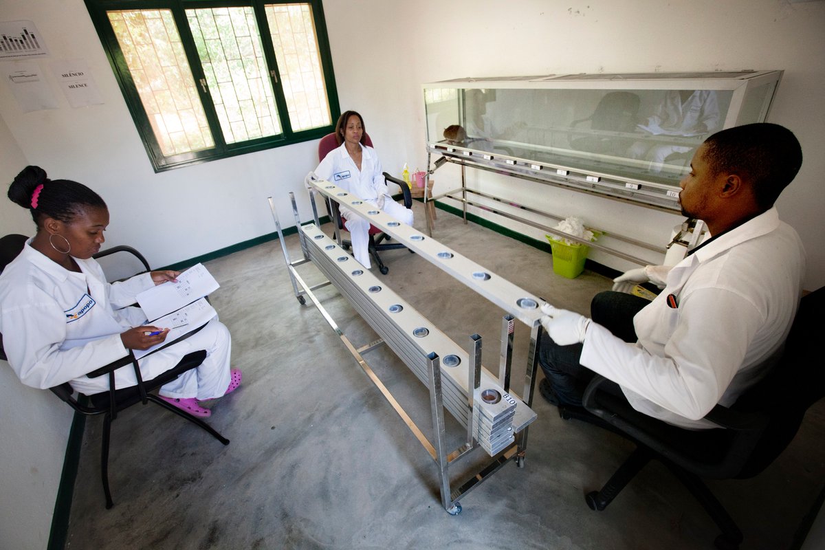 Funguo_Tz's tweet photo. With the new @HeroRATs facility in Dar es Salaam patients with TB can now get their results within 24 hours #RatsTrainedToSaveLives https://t.co/t5Q1UUl0GN