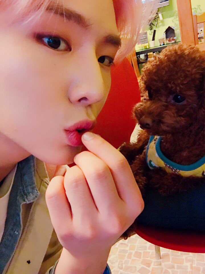 OfficialMONSTAX's tweet photo. [#기현] 겸둥이 강아지 🐶🙊
하도 카메라 안봐줘서 맛있는거 먹는척으로 유혹했다.. https://t.co/qVcVbZeVYc