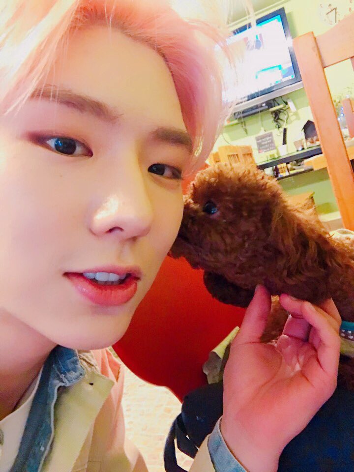 OfficialMONSTAX's tweet photo. [#기현] 겸둥이 강아지 🐶🙊
하도 카메라 안봐줘서 맛있는거 먹는척으로 유혹했다.. https://t.co/qVcVbZeVYc