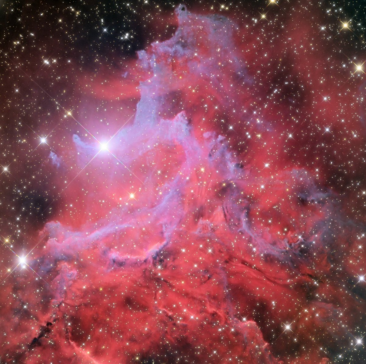 ngc1535's tweet photo. NEW....Heavenly Hearth: The Flaming Star Nebula. Warm thoughts for a nice Thanksgiving! #astrophotography #astronomy #astronomymagazine https://t.co/yH16xzDk0d