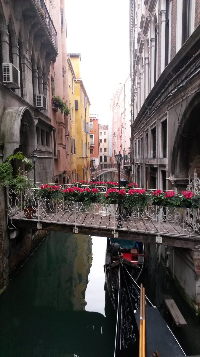 Good morning #venice #GFTS2016Venice