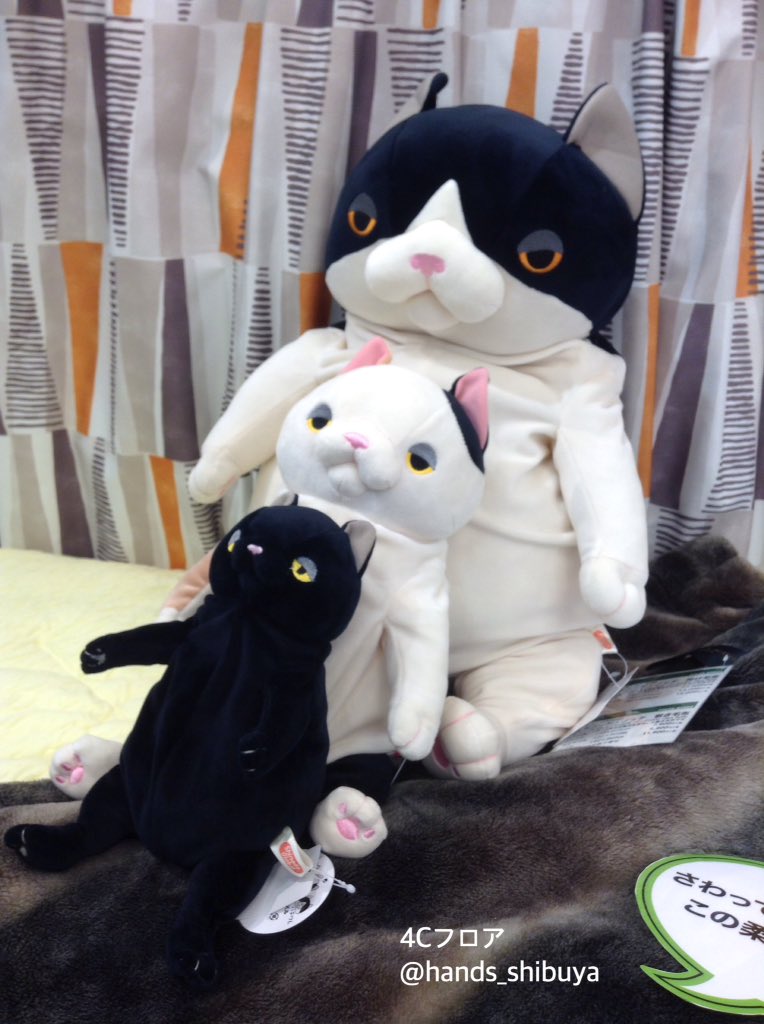 ちょっと生意気な顔がカワイイふとっちょ猫のぬいぐるみ「もちねこ