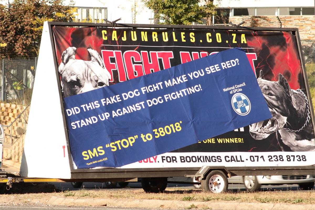 Grey Africa tweet media