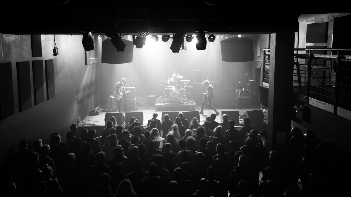 FeelTheNusic's tweet photo. NMP 142 

@_josephknight @crosarosaband @HollyFallon_ @KJiMusic @CHandtheDC + MORE

https://t.co/stNuSNOPii

x https://t.co/Y9H0ygvkP5