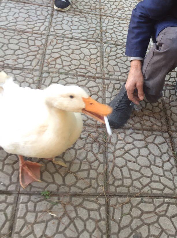 iflde sıradan bi gün