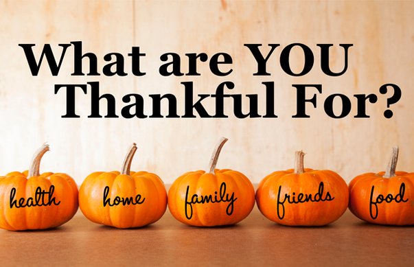 SandiaWisdom's tweet photo. To our Earth Human cousins who are celebrating today-we are thankful for YOU! It's been a pleasure making friends with you here on Twitter. https://t.co/0PcGme5x1e