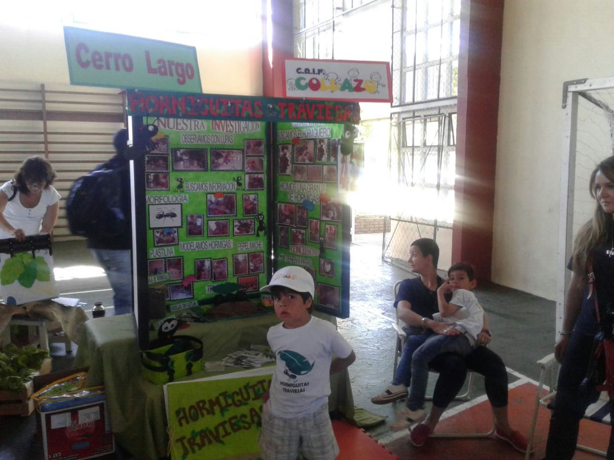 CarmenTort3000's tweet photo. Niños del #CaifCollazo gestionado x #GSocial @intendenciacl compitiendo en Pan de Azúcar a nivel Nacional Orgullo!👏👏 https://t.co/5DRmeuTrLT